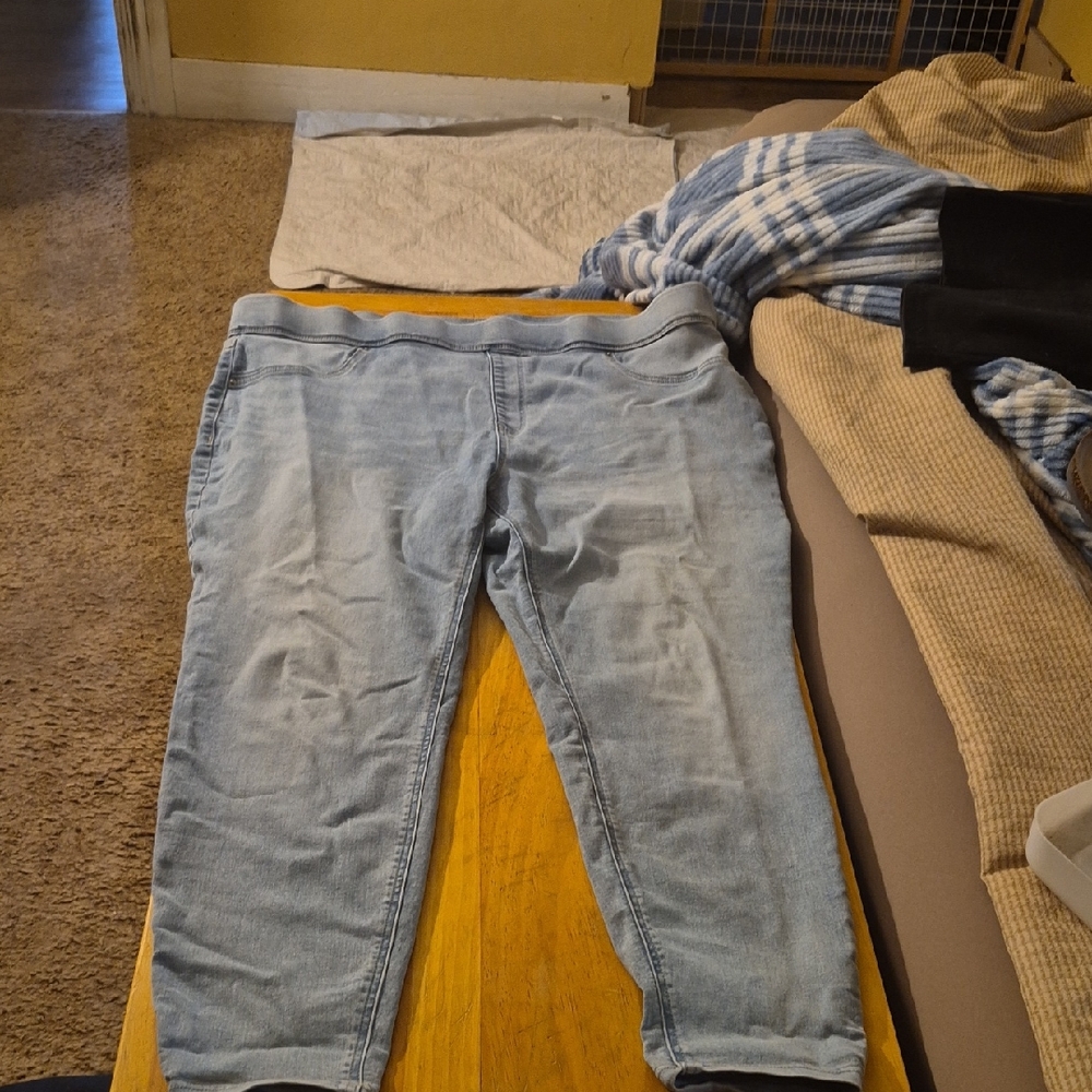 Terra & Sky Light Blue Women's Jeggings